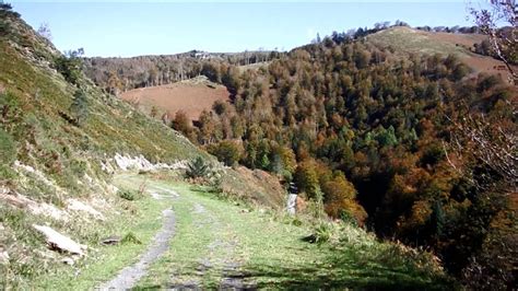 Ruta Sendero Errekaidorra (selva de Irati)